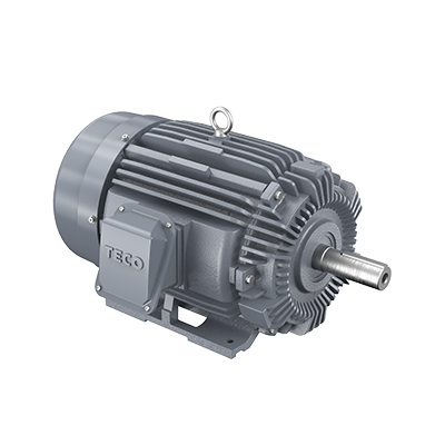 低壓電機(jī)TECO東元電機(jī)官網(wǎng)產(chǎn)品圖