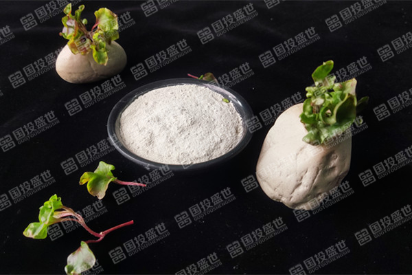 目前沸石飼料添加劑價格是多少？