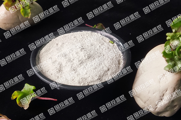 沸石粉：探索其作用與發(fā)展趨勢(shì)-國(guó)投盛世