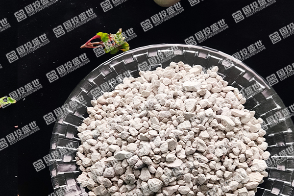 沸石顆粒在國(guó)外歐美的應(yīng)用情況-國(guó)投盛世