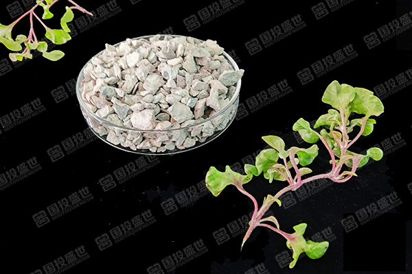 沸石對(duì)生態(tài)環(huán)境的作用