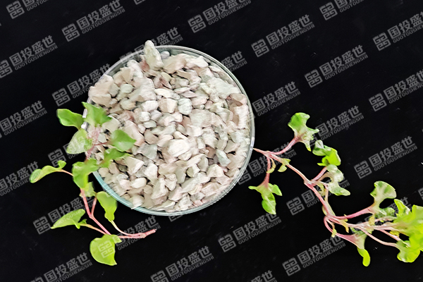 沸石在蘋果樹種植中有哪些優(yōu)勢？
