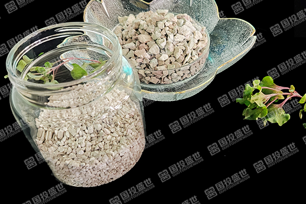 天然沸石如何助力甜菜種植？-國(guó)投盛世