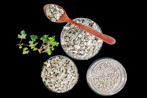 油菜種植時可以使用沸石嗎？