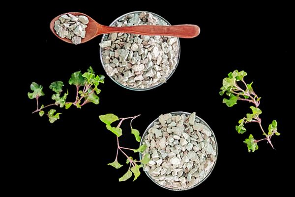 種植黃豆時能使用沸石嗎？-國投盛世