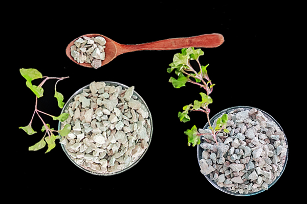 天然沸石對(duì)養(yǎng)貓家庭有哪些好處？