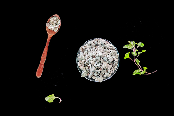 如何確保沸石在農(nóng)業(yè)中的使用不會(huì)對(duì)土壤微生物平衡產(chǎn)生負(fù)面影響?-國(guó)投盛世