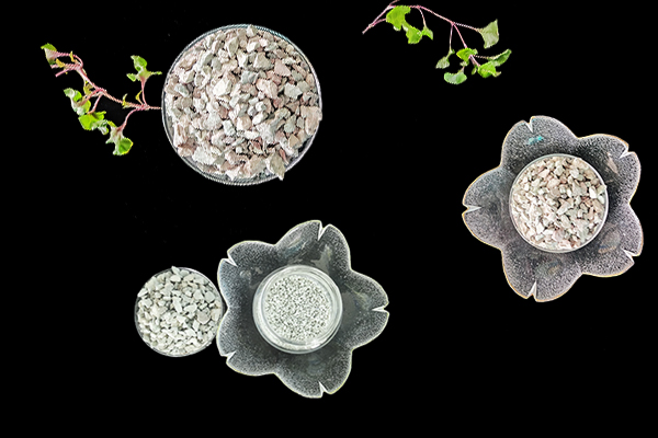 沸石能為芥菜增產(chǎn)提供幫助嗎？