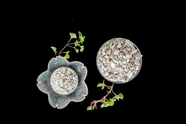 沸石能為扁豆種植帶來(lái)哪些改變？-國(guó)投盛世