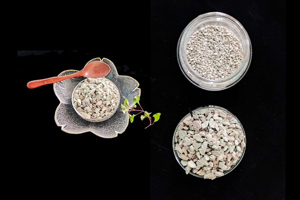 種植四季豆時(shí)加入沸石能提高產(chǎn)量嗎？