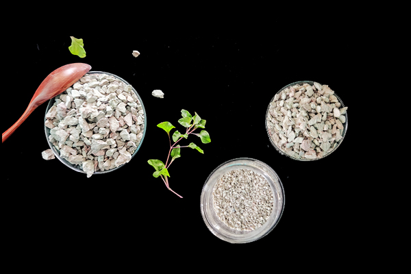 何時(shí)添加沸石于大麥種植最有效？