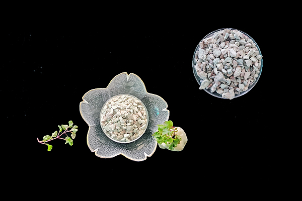 種植生菜時(shí)使用沸石能增產(chǎn)嗎？