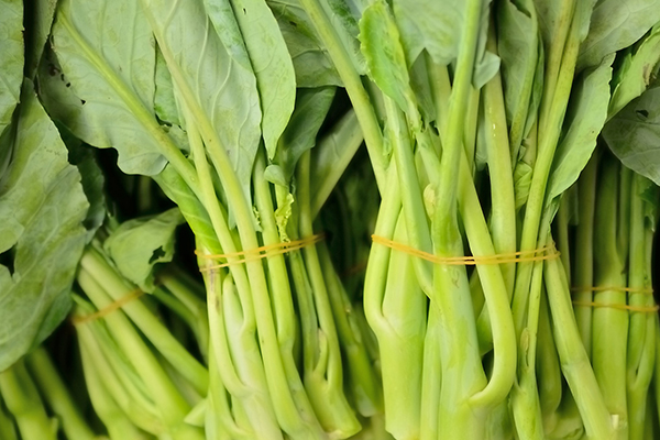 想要空心菜增產(chǎn)，就要在種植時要加入它了